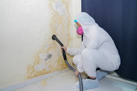  Shoreacres, TX Mold Remediation Pros